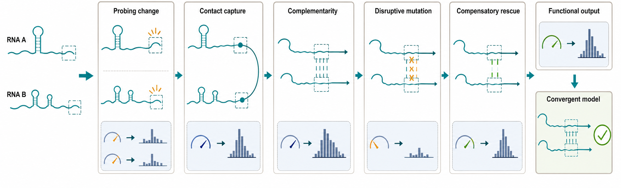 Figure 63.4. Integrating an RNA-RNA Contact