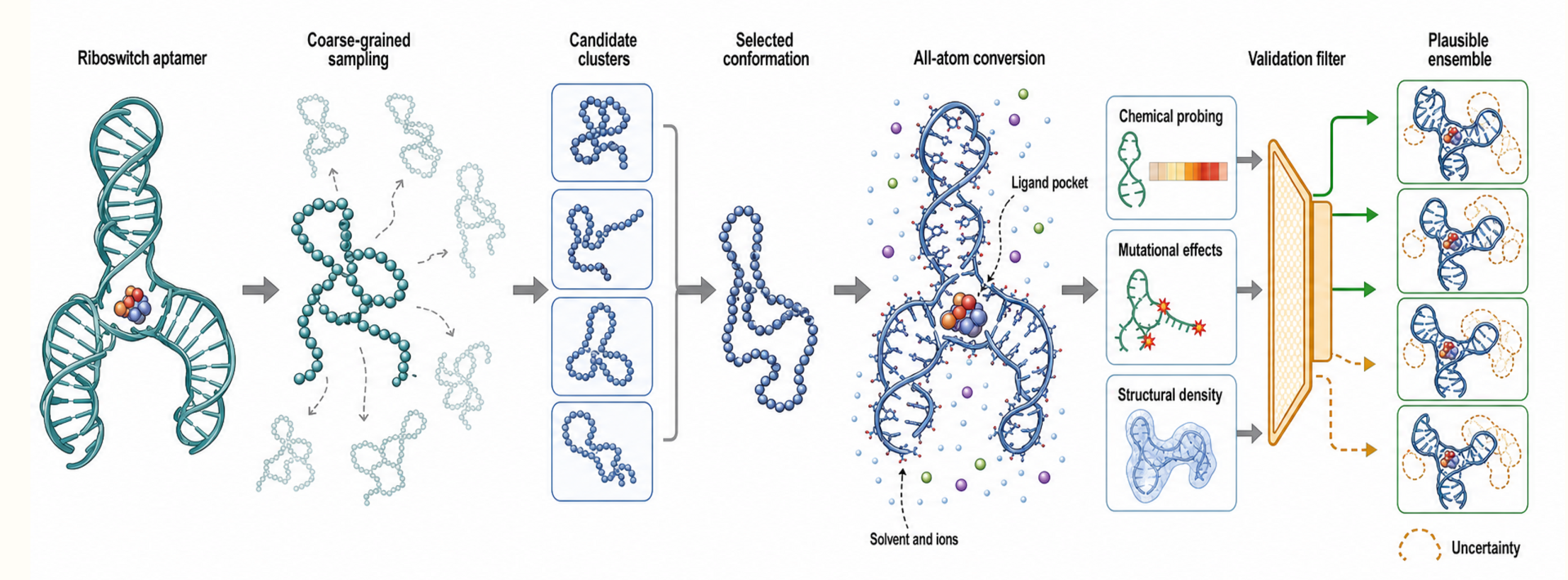 Figure 64.3. Multiresolution Simulation of a Riboswitch Aptamer