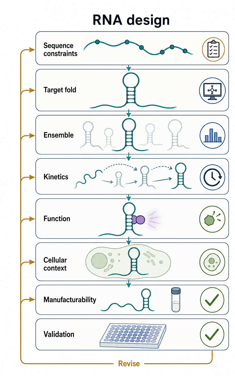 Figure 65.1. Objective Stack for RNA Design