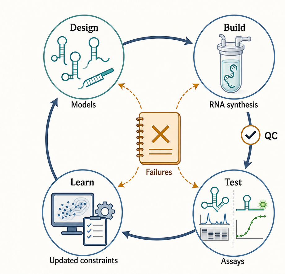 Figure 65.4. Experimental Design–Build–Test–Learn Loop