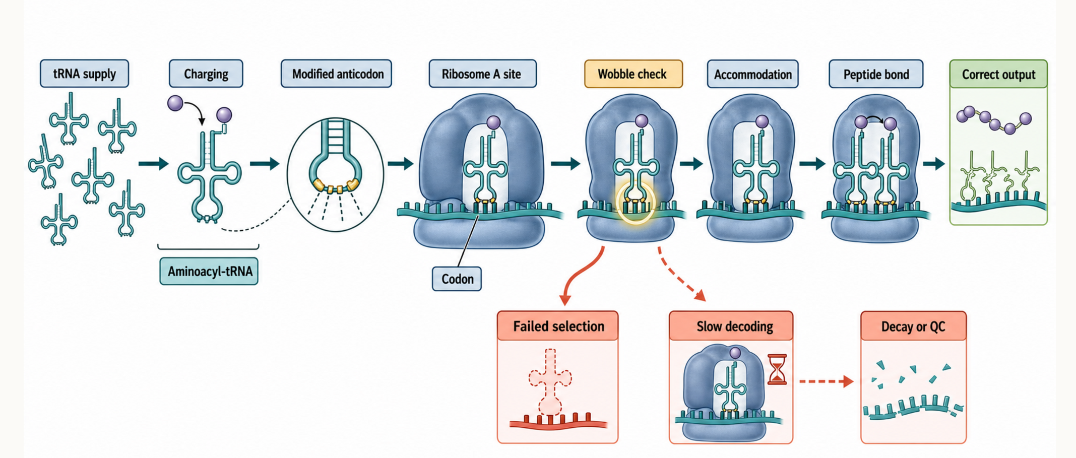 Figure 66.2. Decoding Decision Pathway