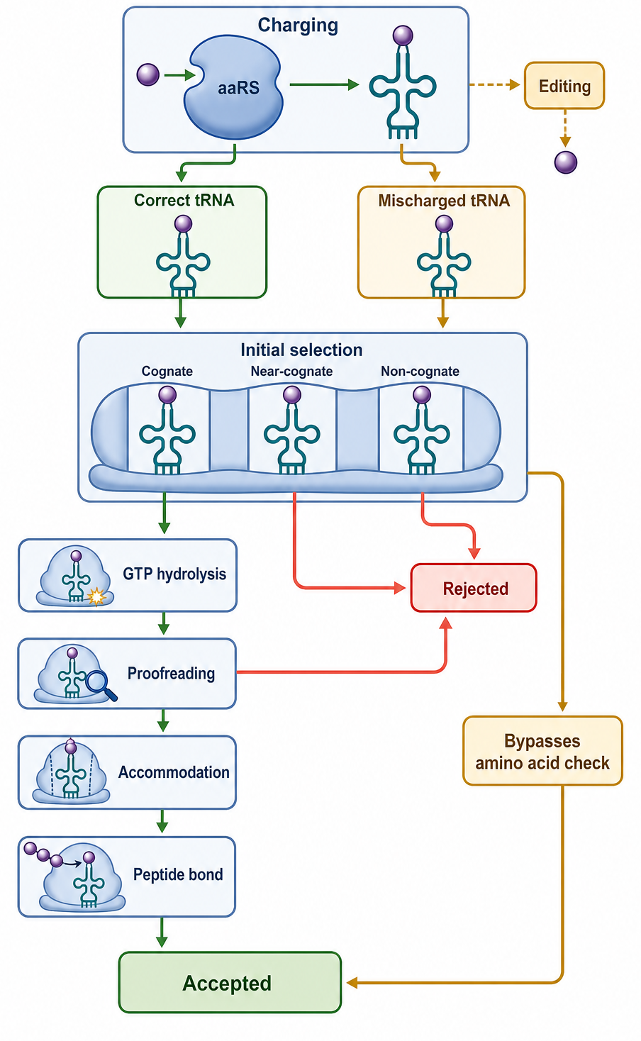 Figure 68.2. Fidelity Checkpoints in Translation