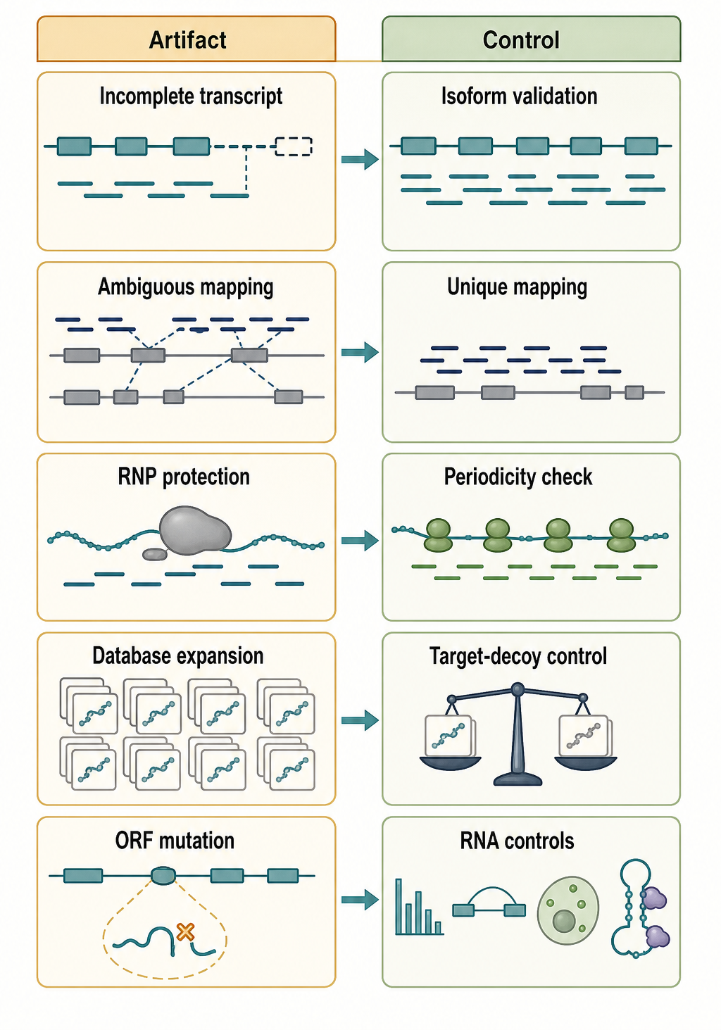 Figure 77.4. Artifact Sources in Noncanonical ORF Discovery