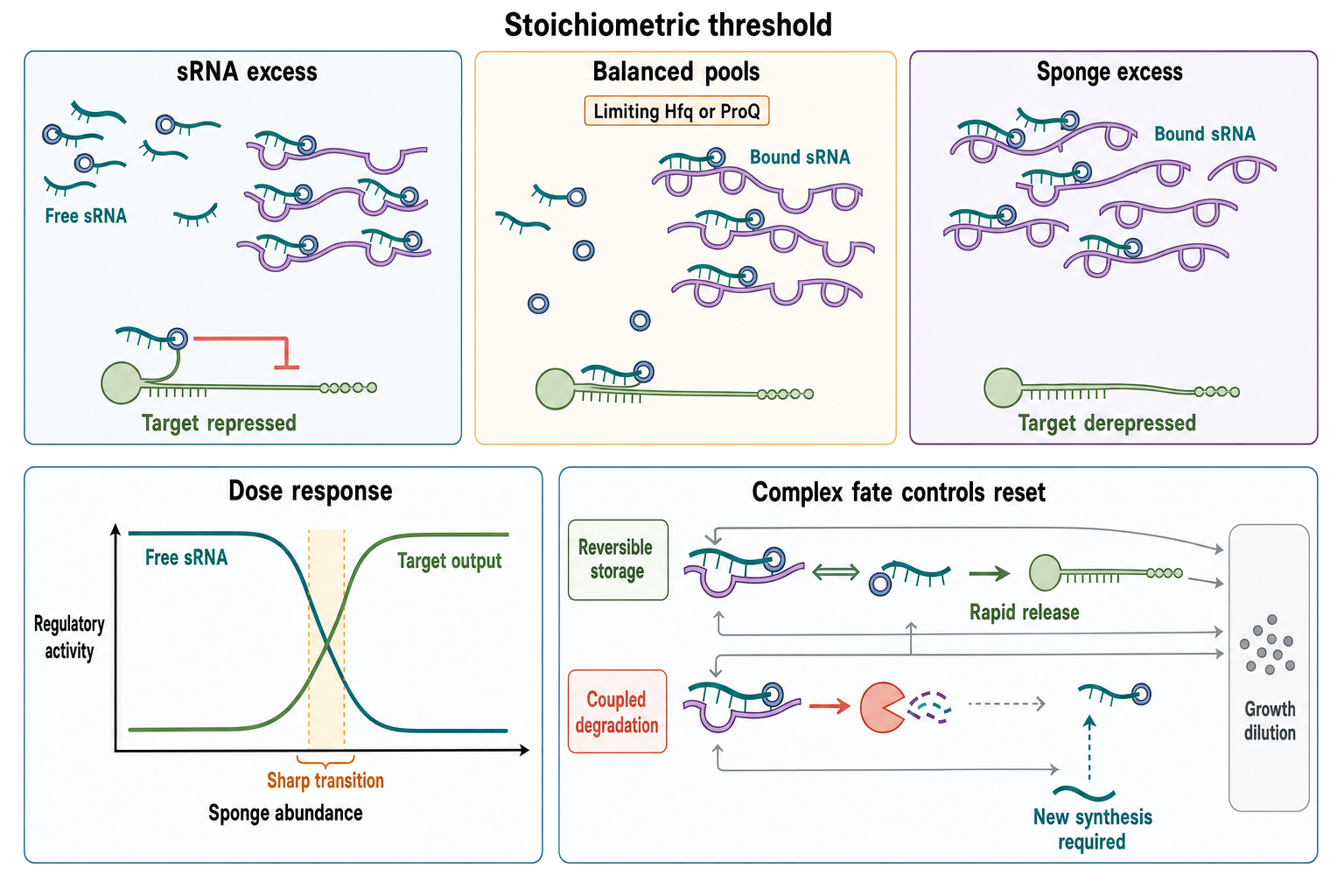 Figure 81.4. Quantitative threshold behavior in sponge, target, and chaperone competition
