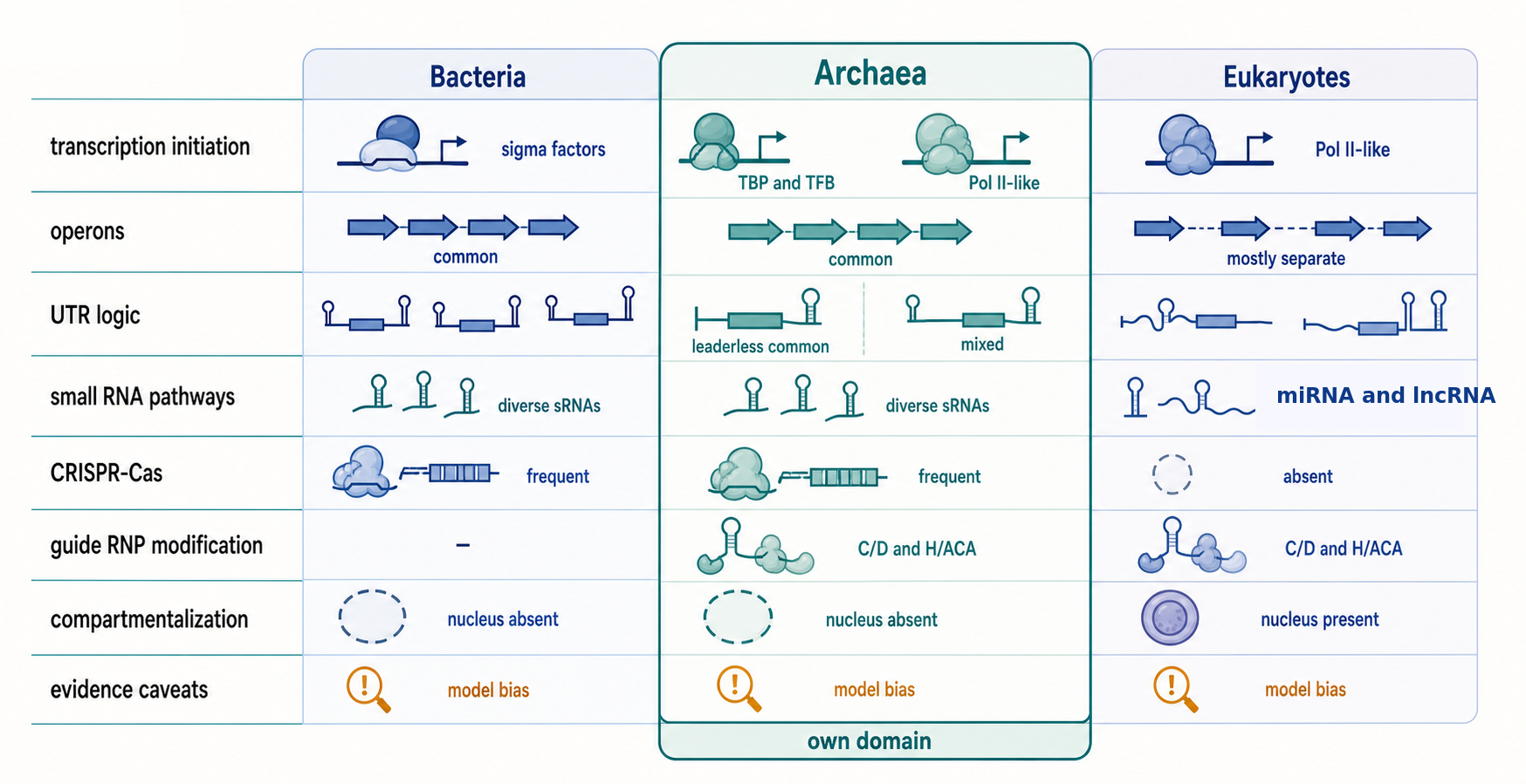 Figure 83.4. Comparative Archaeal Logic