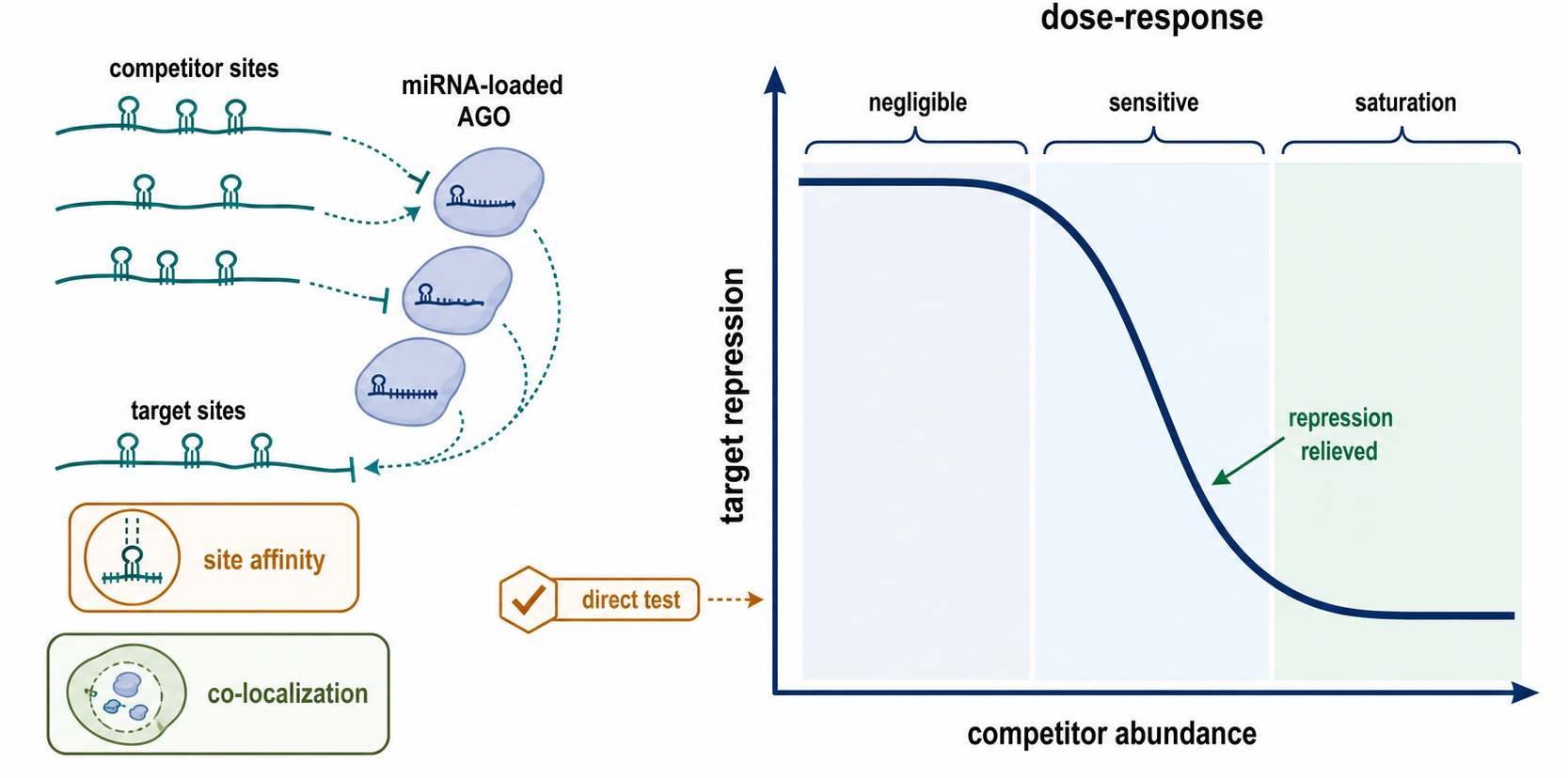 Figure 84.4. Quantitative ceRNA Dose-Response