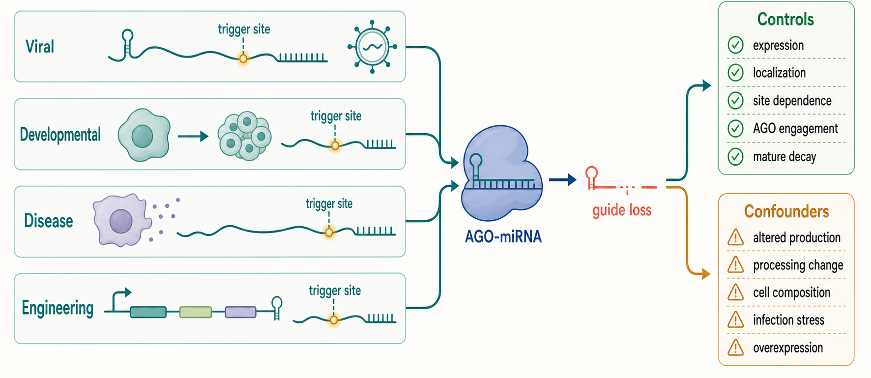 Figure 85.4. Biological Contexts for TDMD