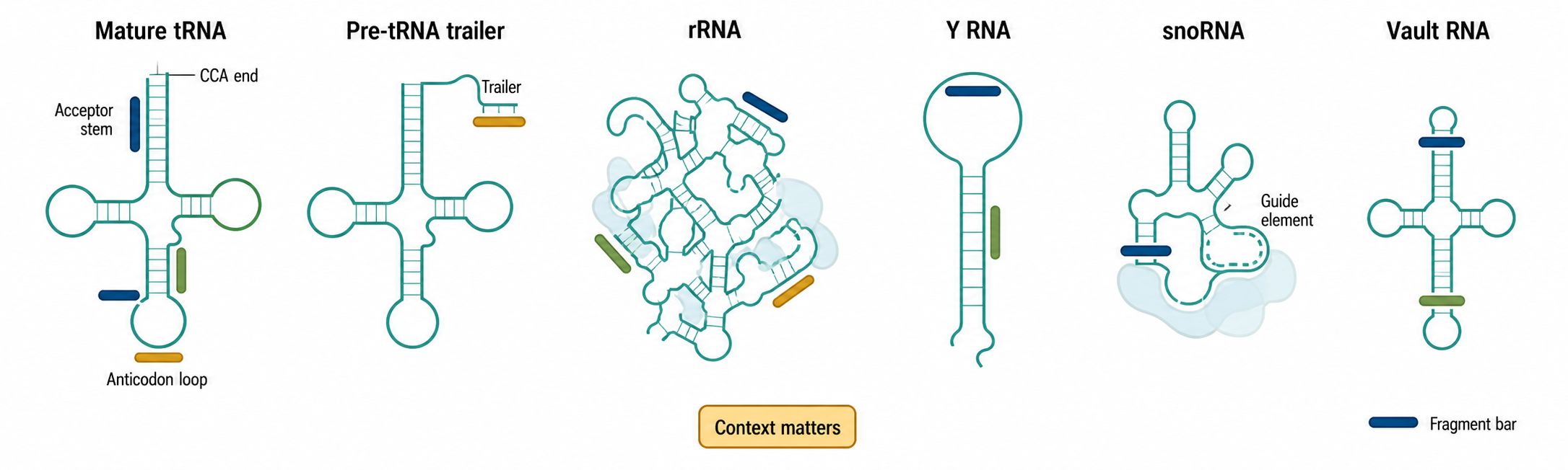 Figure 89.1. Fragment map across parent stable RNAs