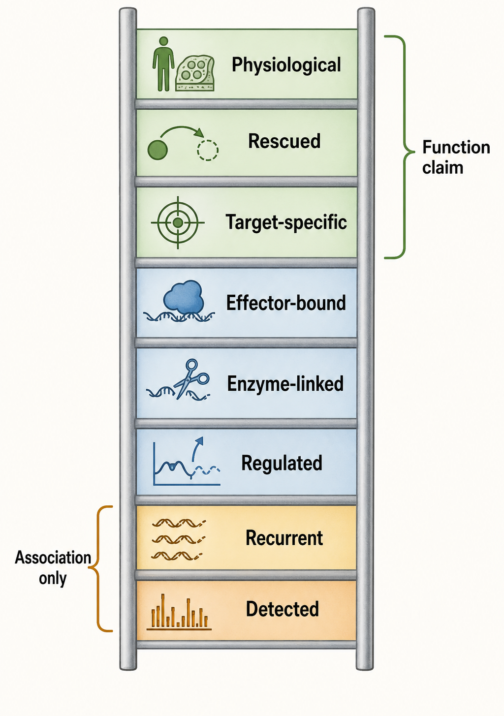 Figure 89.4. Evidence ladder for functional fragment claims