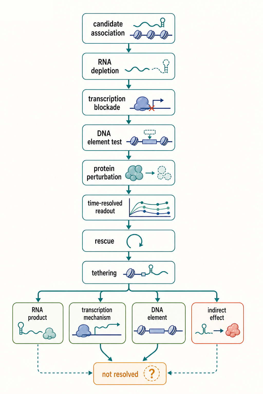 Figure 96.4. Causal Decision Tree for an RNA-Chromatin Mechanism