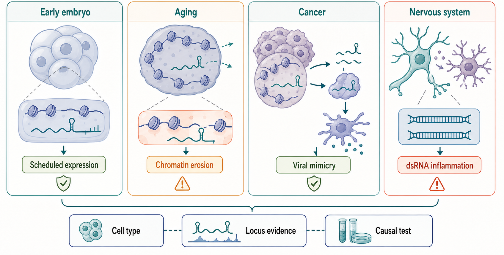 Figure 99.3. Driver, amplifier, and marker roles across host contexts