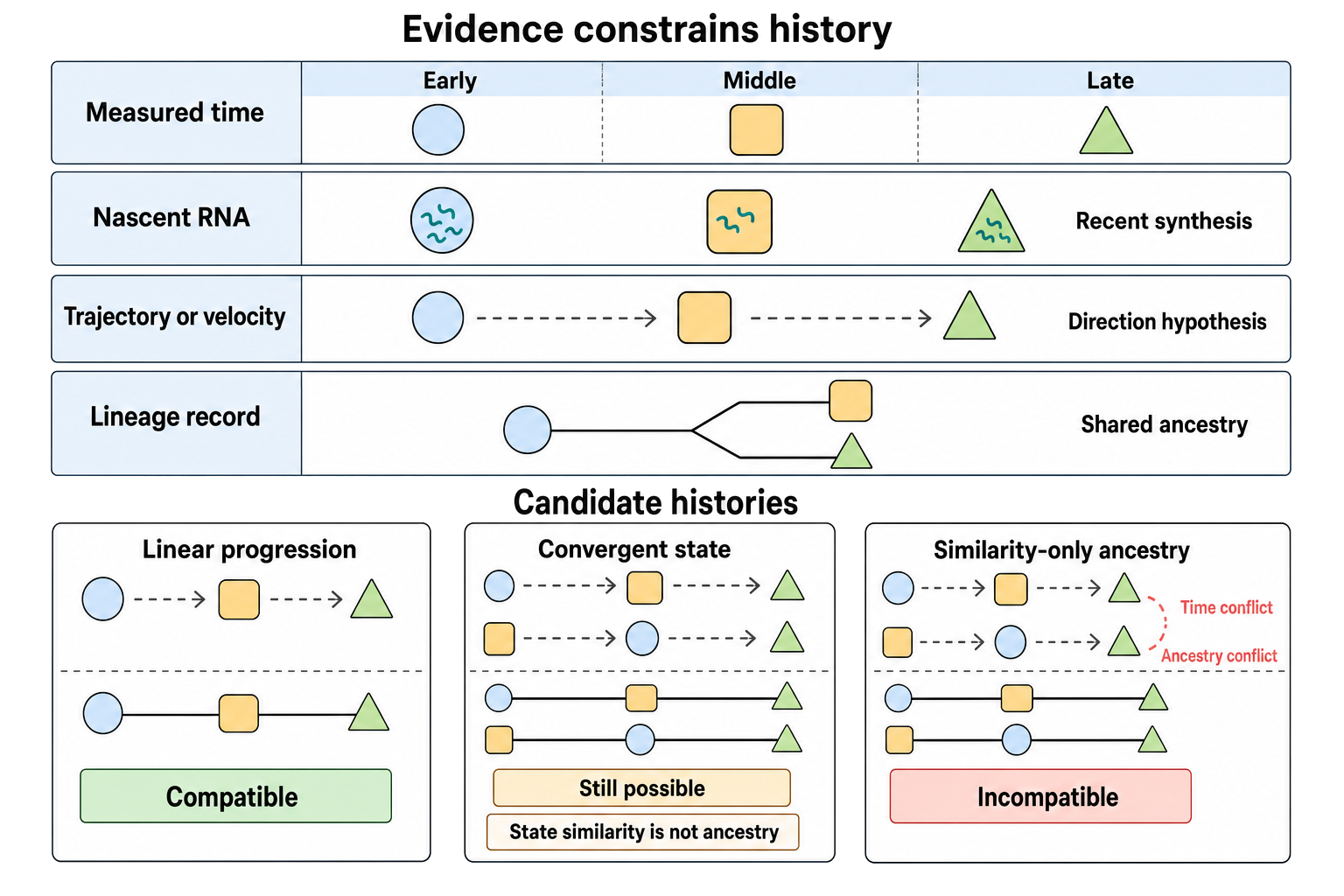 Figure 106.7. Time, Direction, and Ancestry Constrain Different Histories