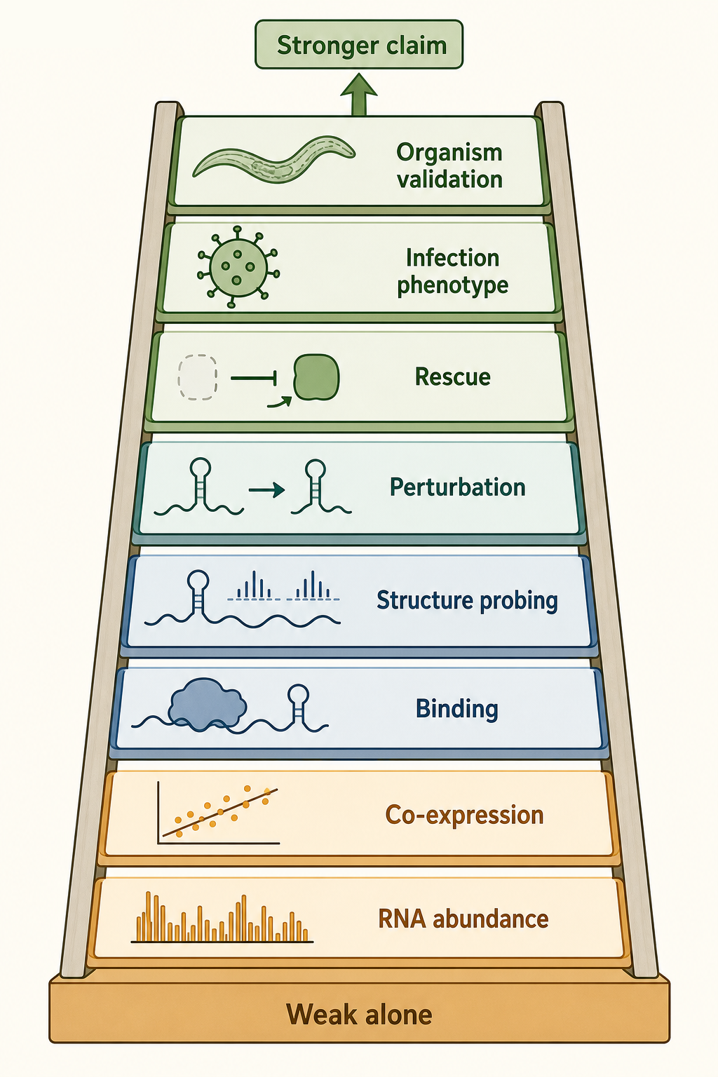 Figure 111.3. Evidence ladder for host-pathogen RNA claims