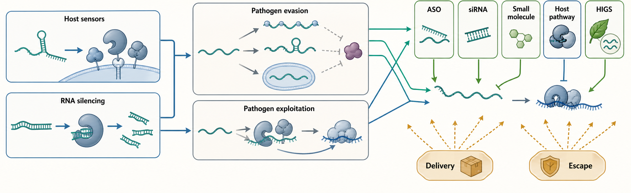 Figure 111.4. Coevolutionary routes to RNA-targeted intervention and escape