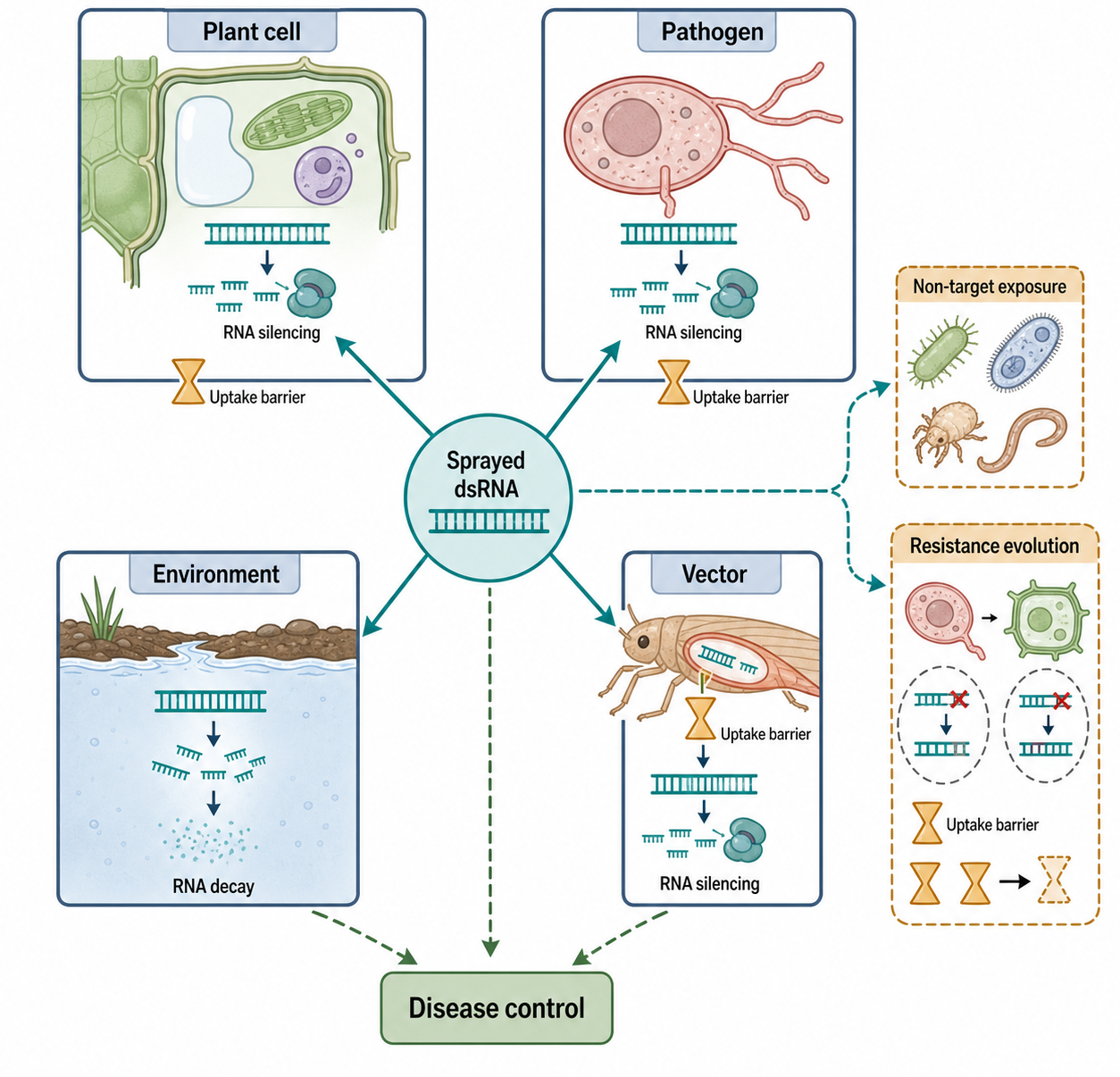 Figure 113.4. Compartmental model of RNA immunity across plant, pathogen, vector, and environment