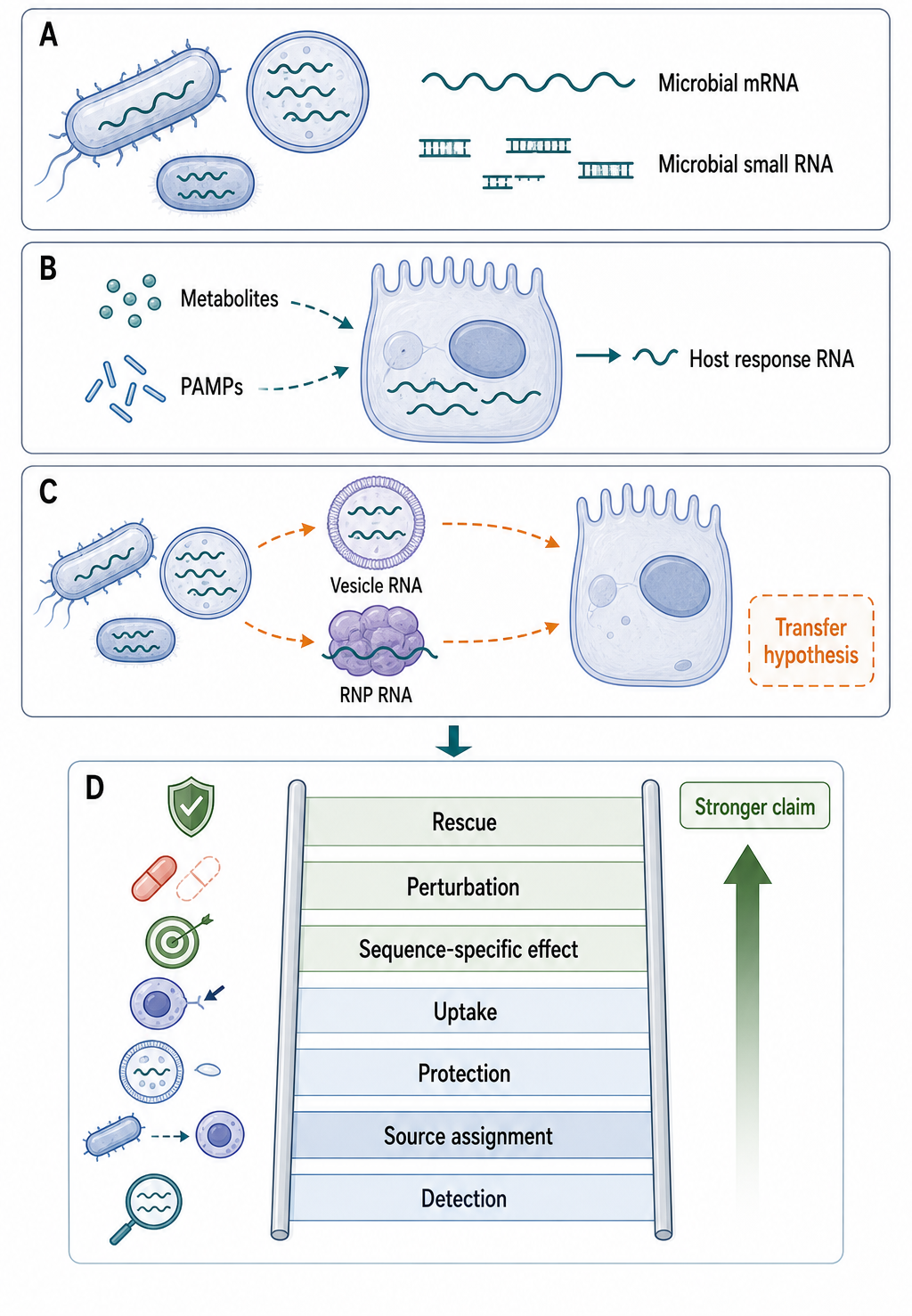 Figure 114.3. Host-Microbiome RNA Network Hypotheses and Evidence Gates