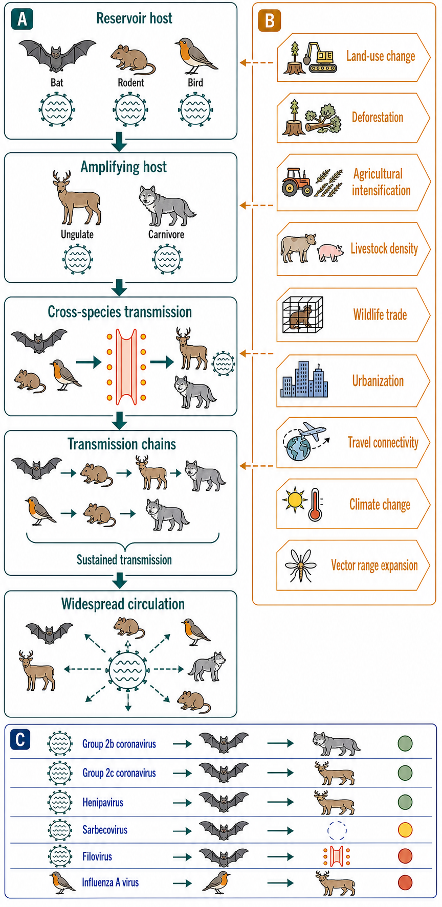 Figure 115.4. The Ecological Chain of Zoonotic RNA Virus Emergence