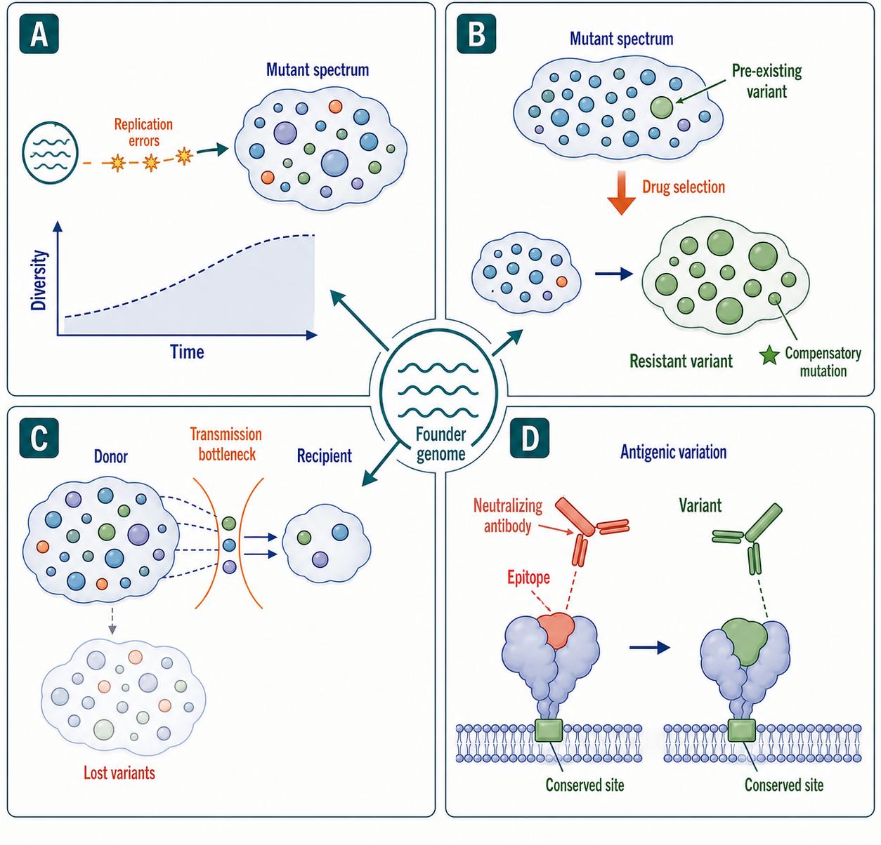 Figure 116.5. Population dynamics across within-host selection and transmission