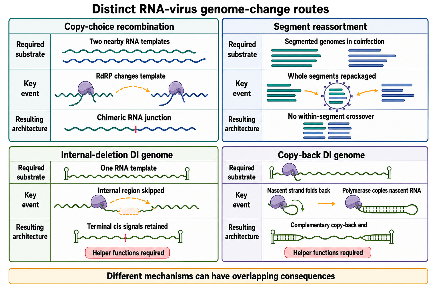 Figure 116.6. Recombination, reassortment, and defective-genome formation are distinct routes