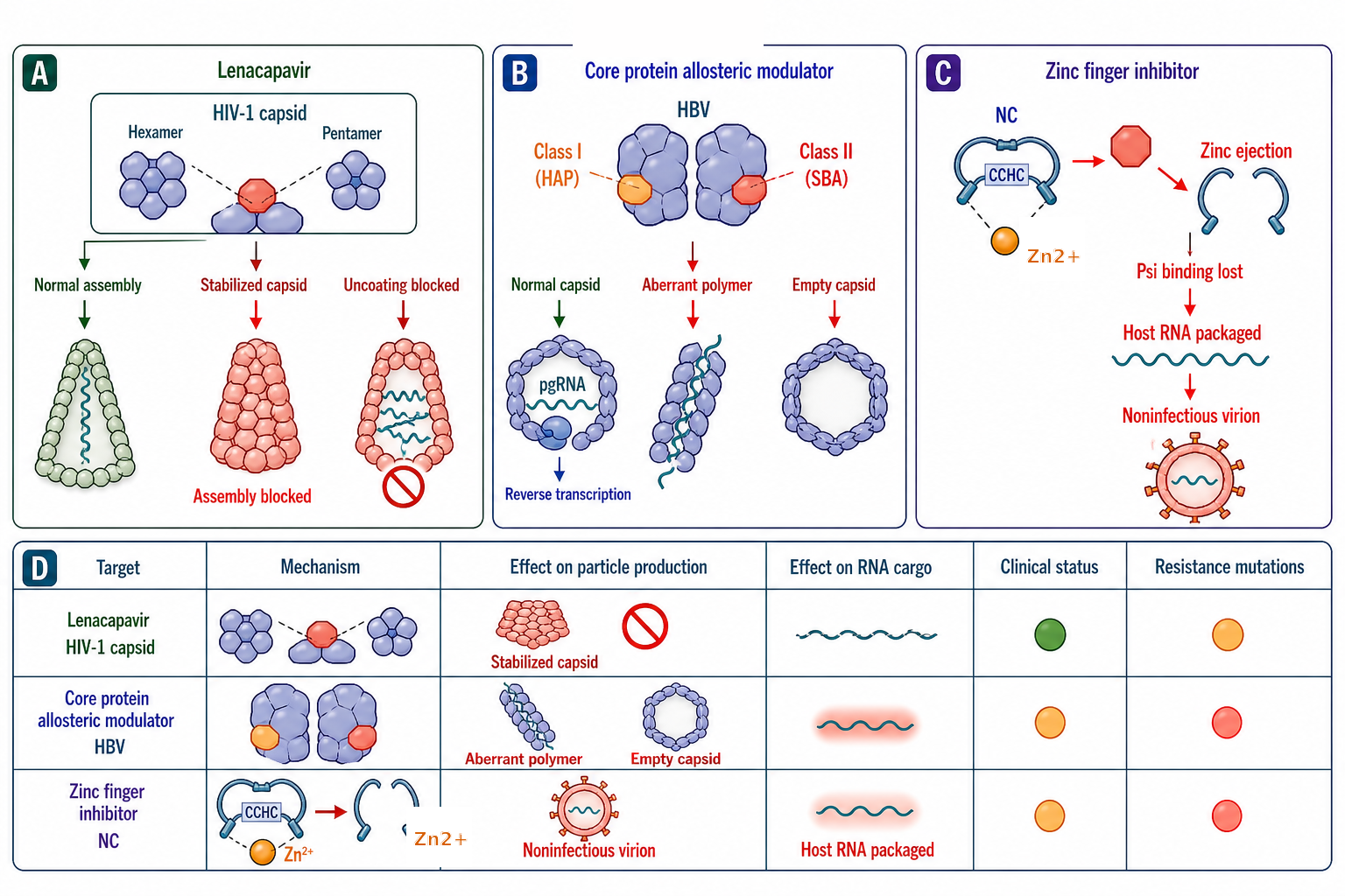 Figure 118.5. Mechanisms of assembly-targeting antiviral interventions