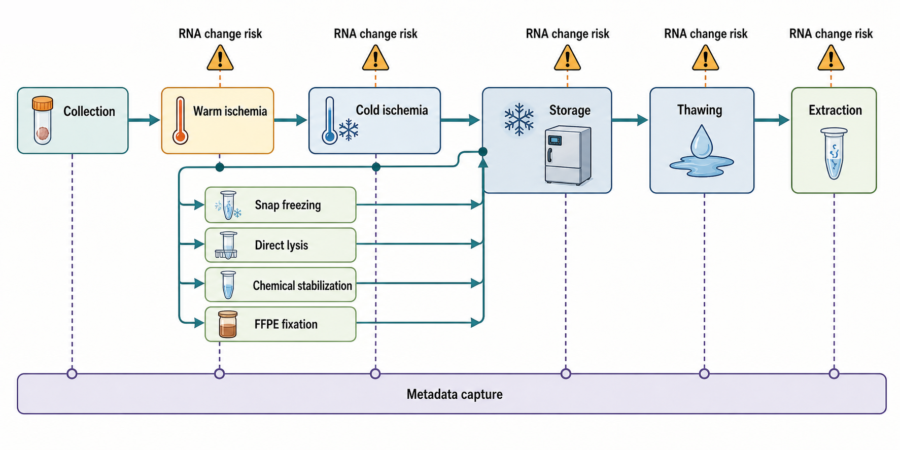 Figure 122.1. Sample Handling Timeline and Preservation Decision Points