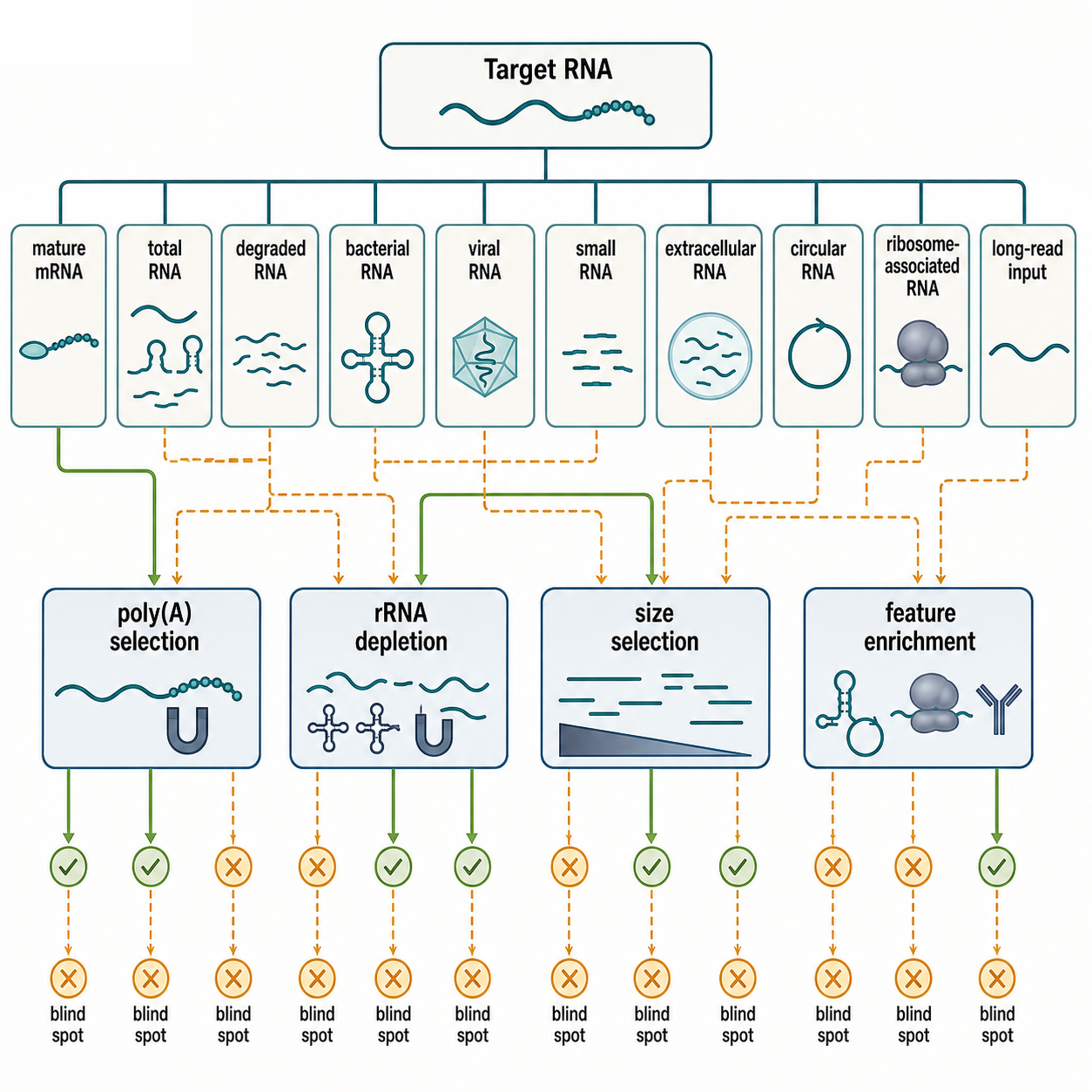 Figure 122.3. RNA Target Class to Fractionation Strategy Decision Tree