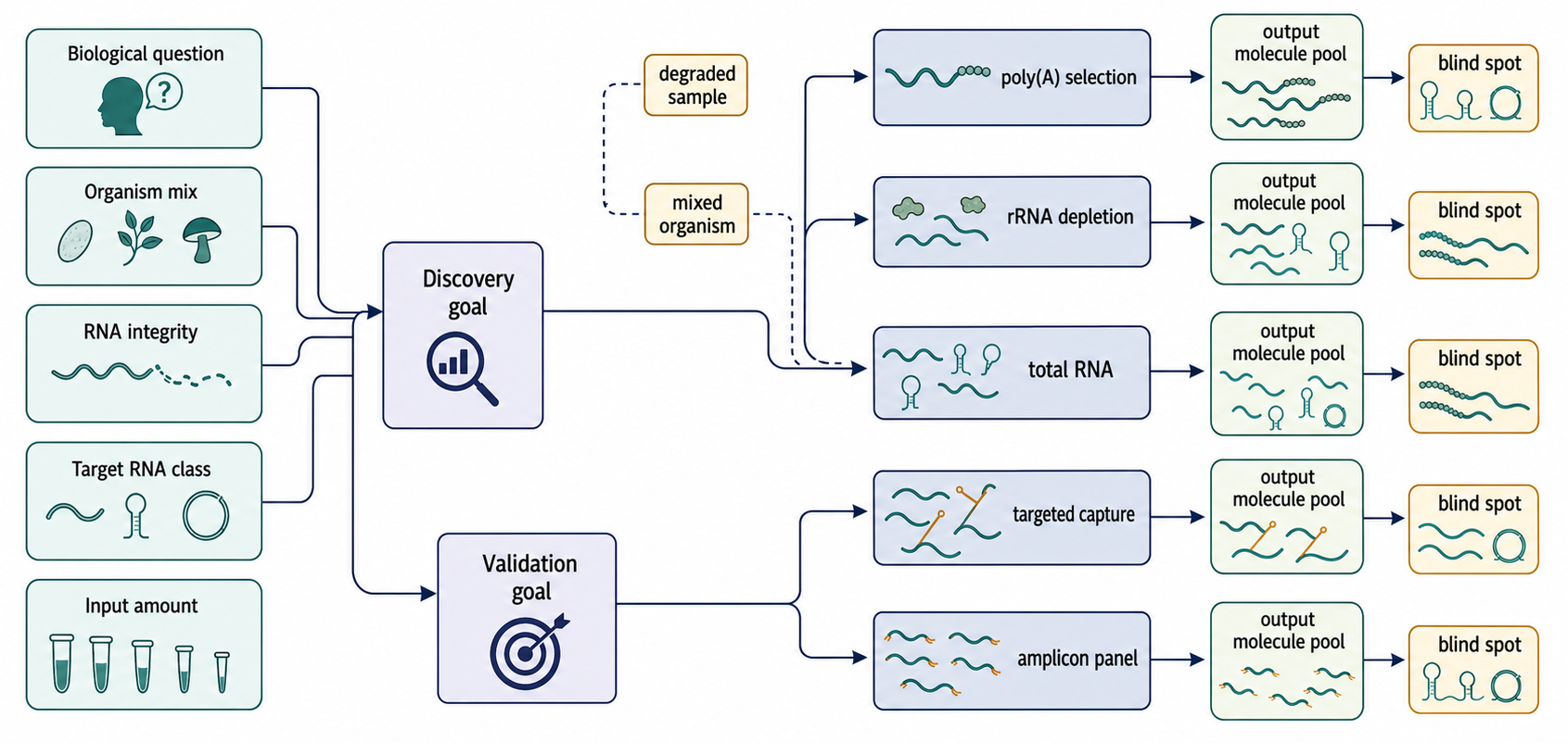 Figure 125.1. Library Design Determines the Observable RNA Population.
