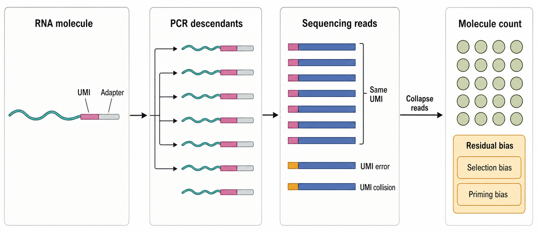 Figure 125.3. UMI-Based Molecule Counting and Deduplication.