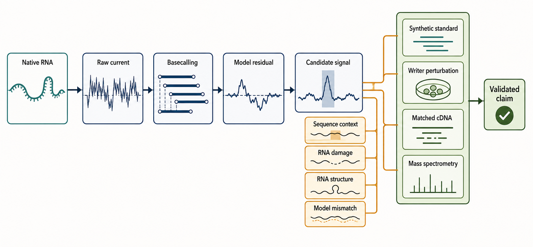 Figure 128.3. Native RNA signal interpretation ladder