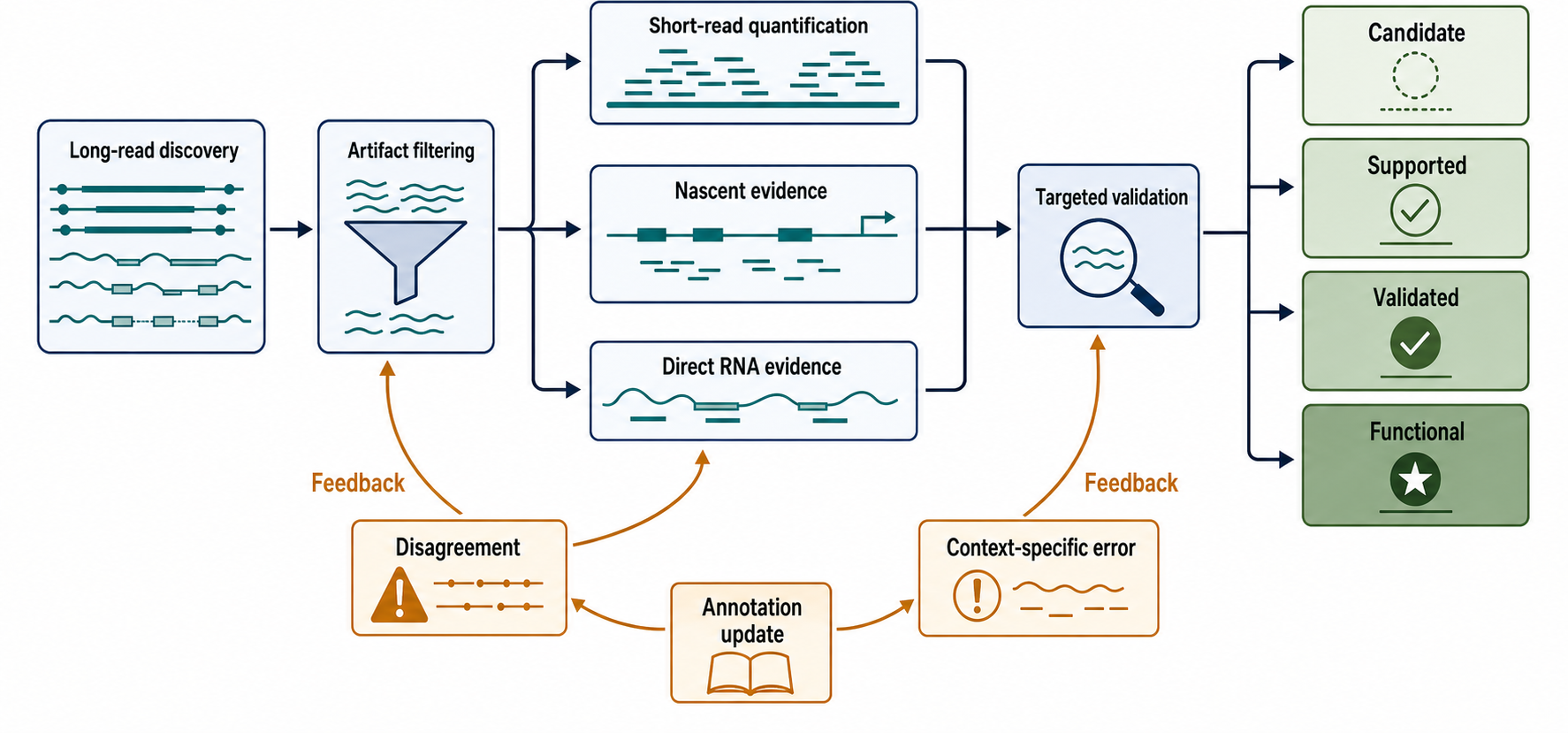 Figure 128.6. Integrated long-read, short-read, and direct RNA evidence workflow
