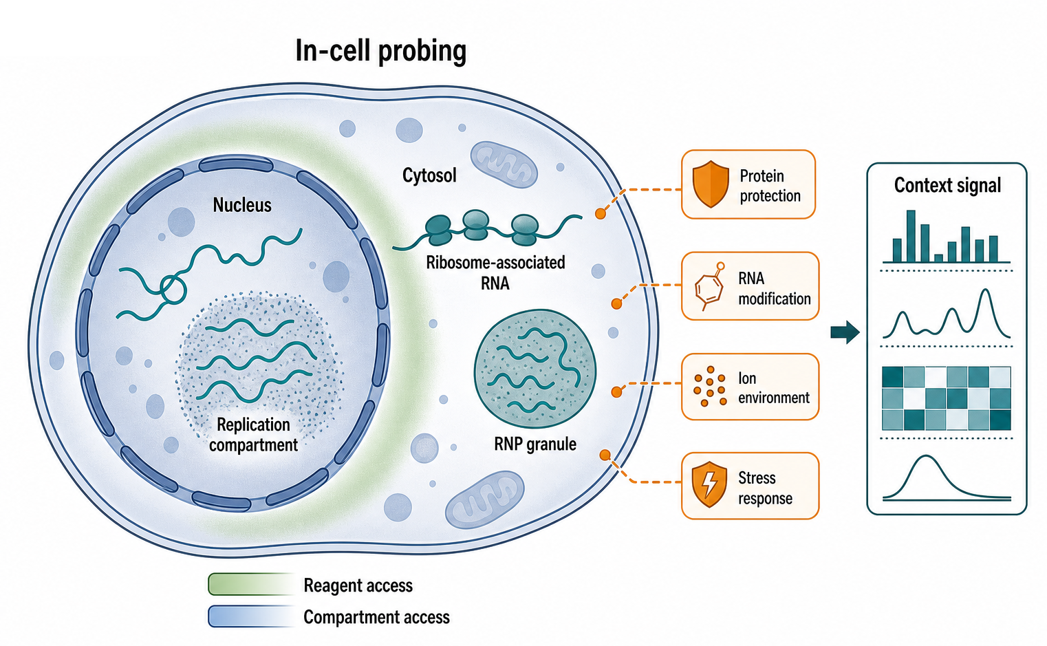 Figure 131.3. Sample Context Defines the Measured RNA Population