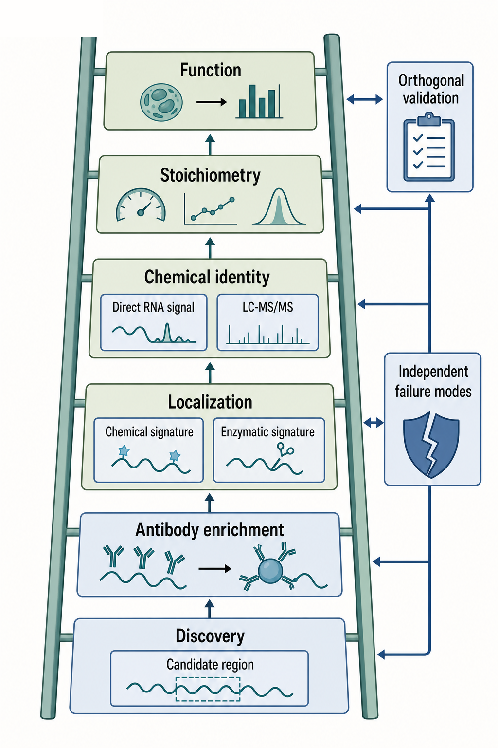Figure 132.1. Signal-generation chains for RNA modification measurements