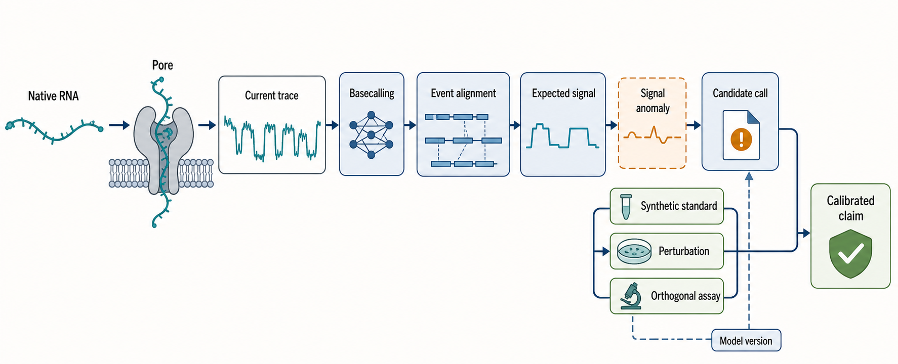 Figure 132.2. Direct RNA nanopore sequencing and modification inference