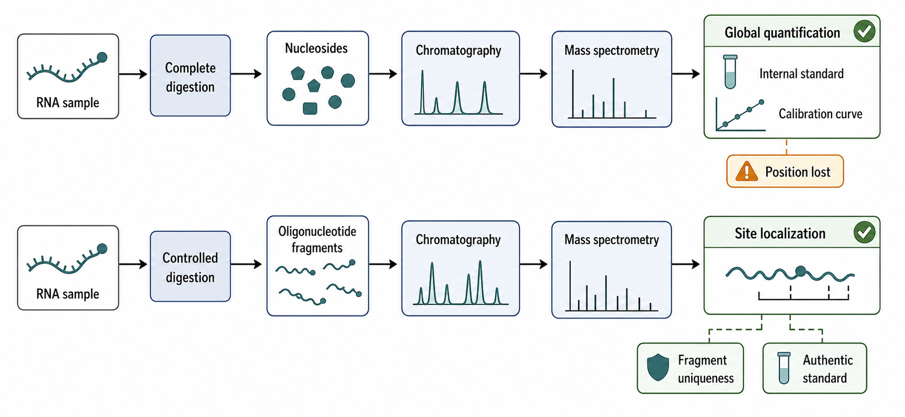 Figure 132.3. LC-MS/MS paths for RNA modification analysis