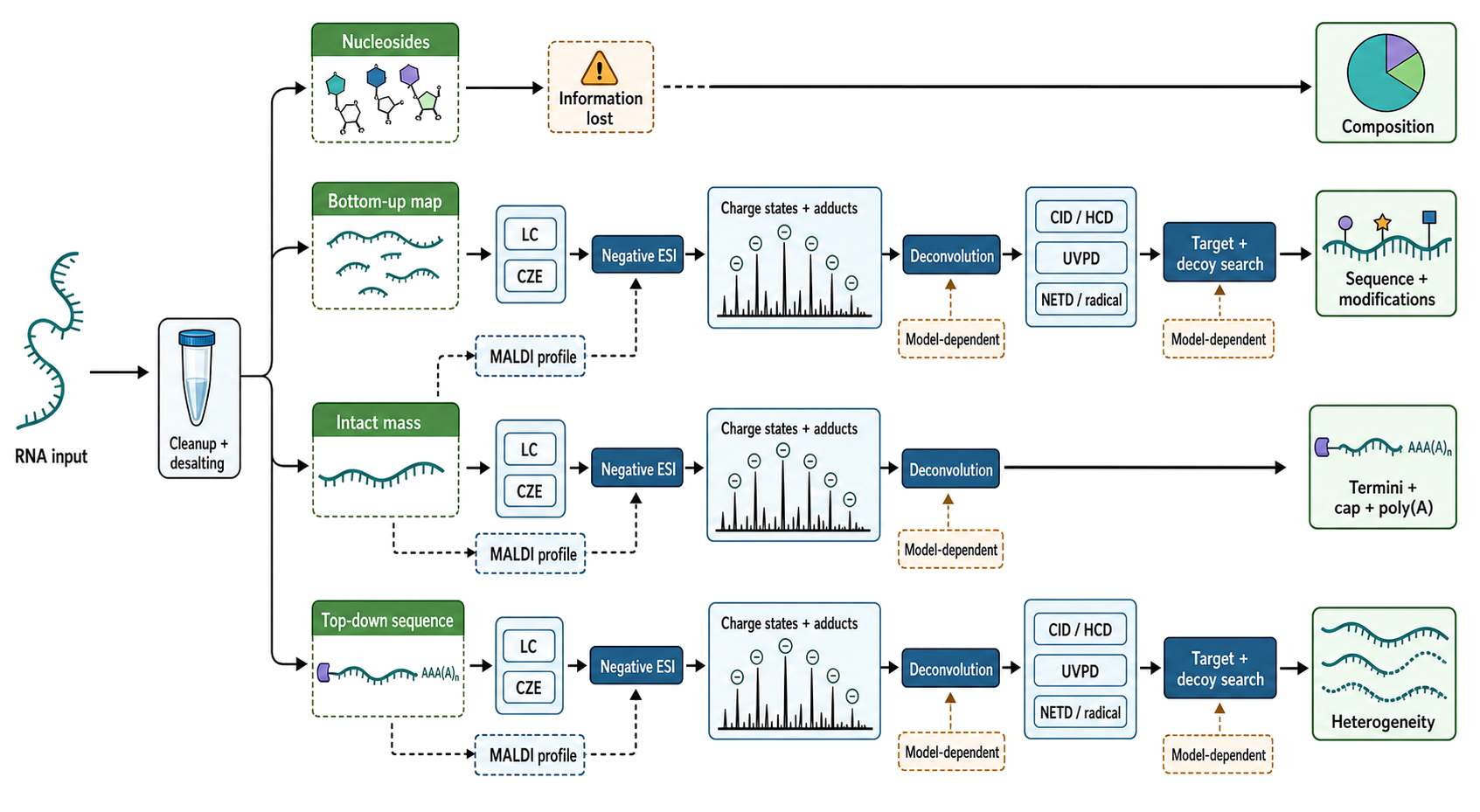 Figure 132.7. Causal workflow for sequence-level RNA mass spectrometry