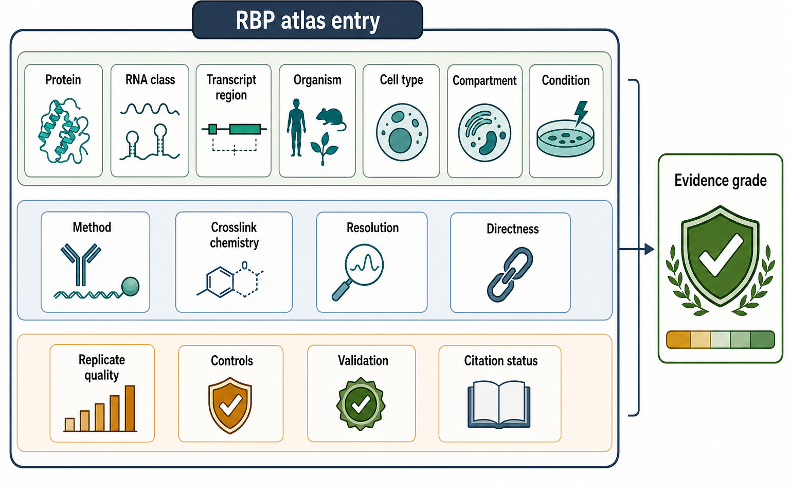 Figure 133.3. Evidence-aware RBP atlas schema