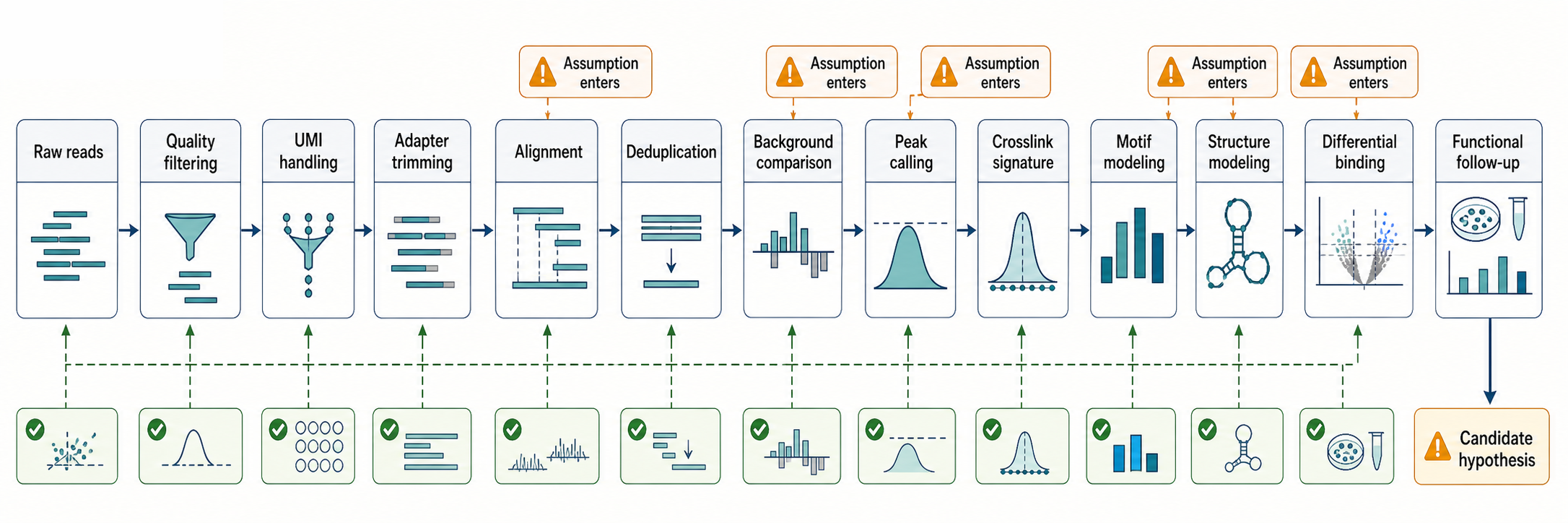 Figure 133.4. Computational inference from CLIP reads to biological hypotheses