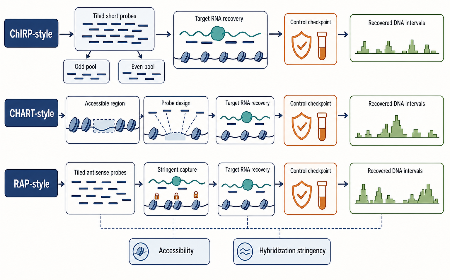 Figure 134.2. RNA-Centric Chromatin Capture Workflows