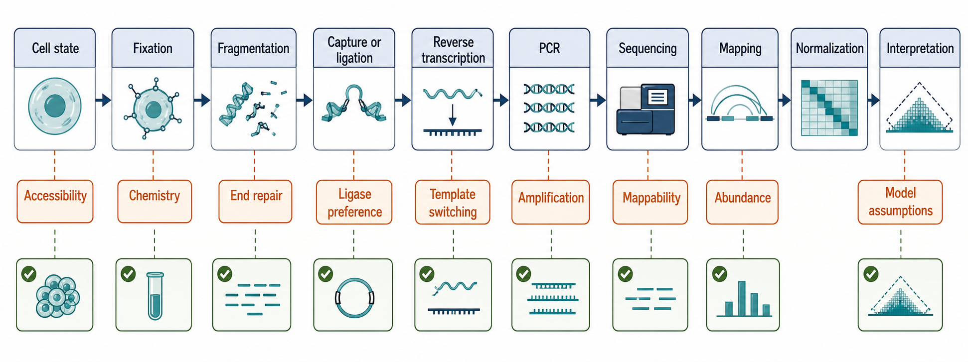 Figure 134.4. Bias Sources Across the Contact-Mapping Pipeline