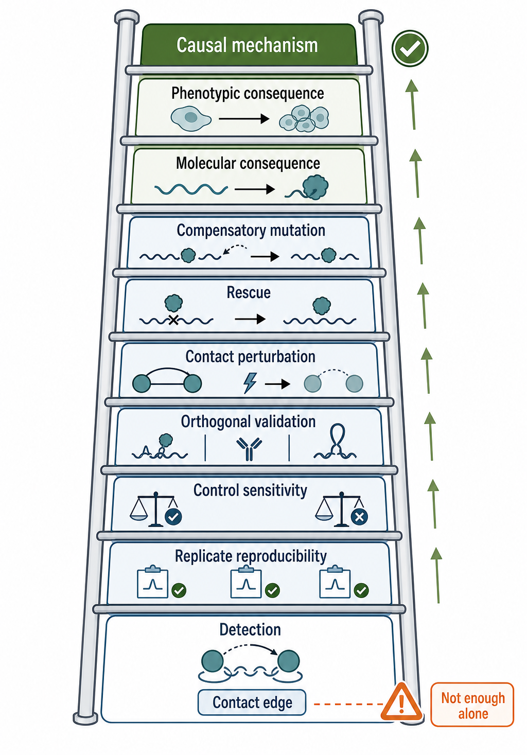Figure 134.6. Evidence Ladder from Contact Detection to Supported Inference