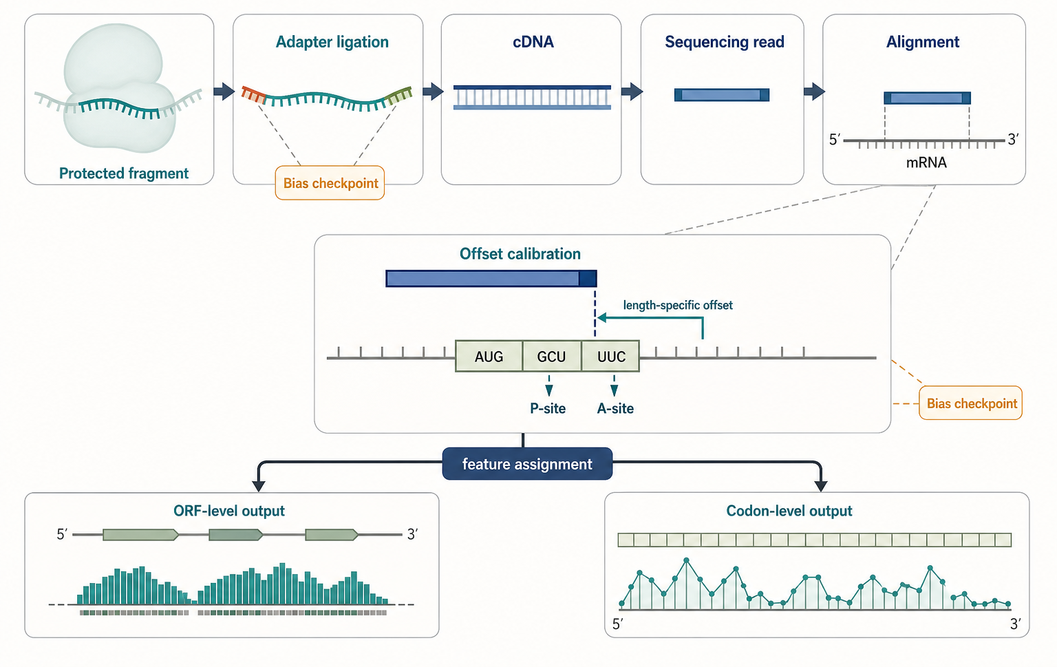 Figure 135.2. Library construction and footprint assignment as an inference chain