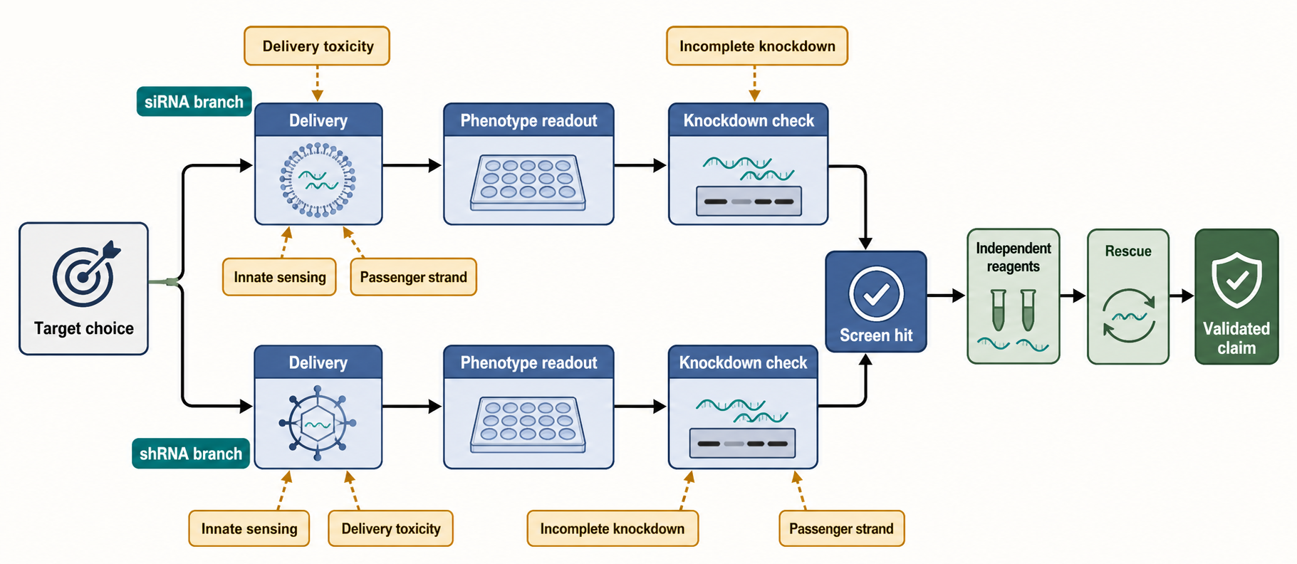 Figure 136.1. RNAi Screen Workflow from Reagent Design to Knockdown Validation