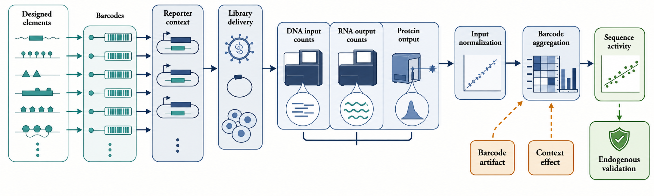 Figure 136.4. Reporter-Library and MPRA Workflow for RNA Regulatory Sequence-Function Assays