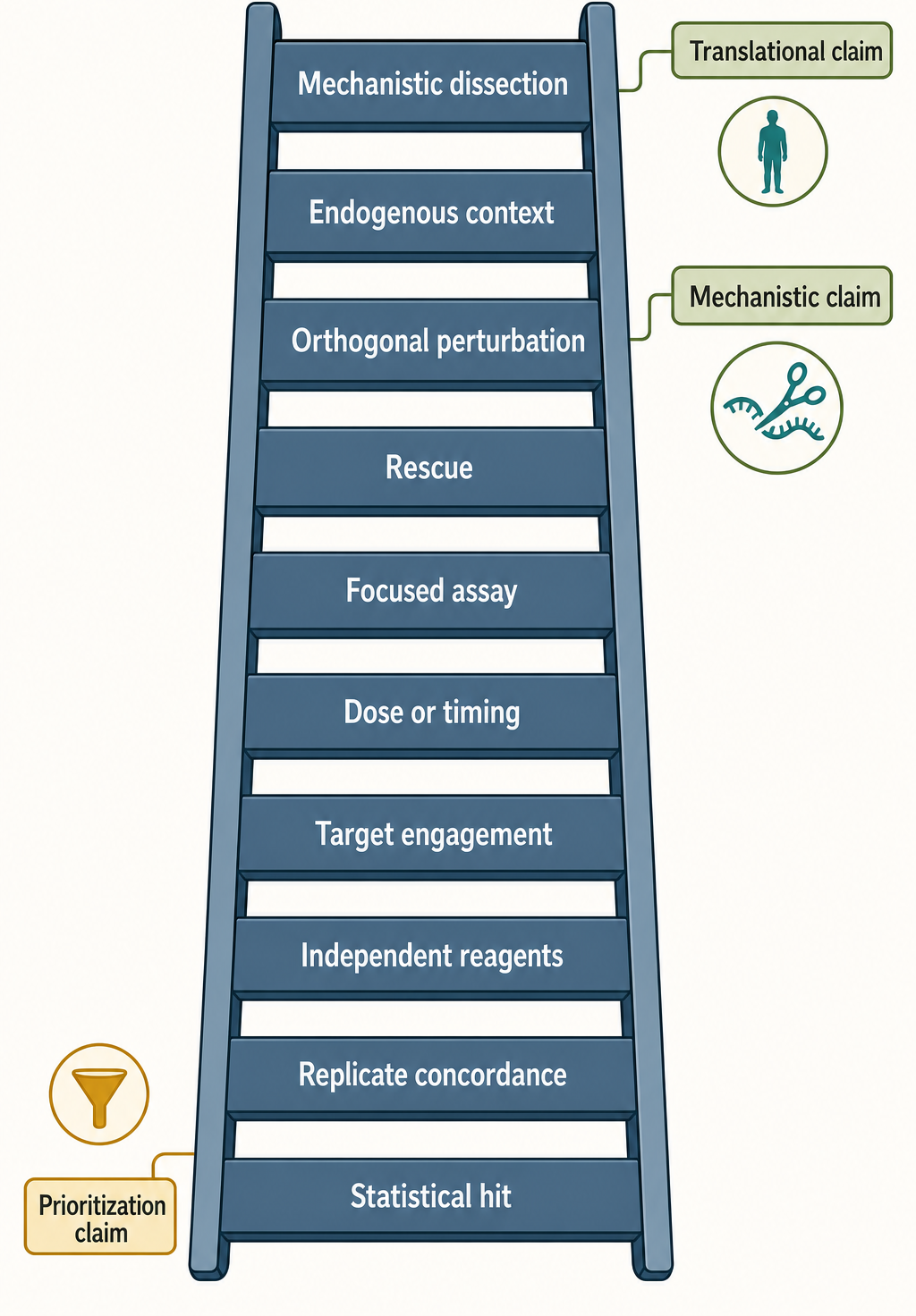 Figure 136.6. Validation Ladder from Statistical Hit to Mechanistic Claim
