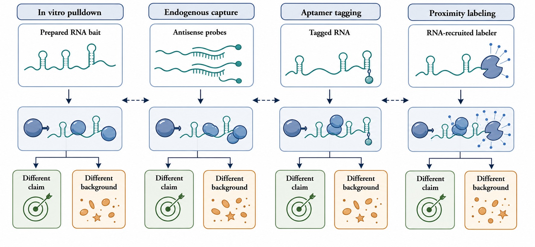 Figure 138.1. Four entry points into RNA-centric proteomics
