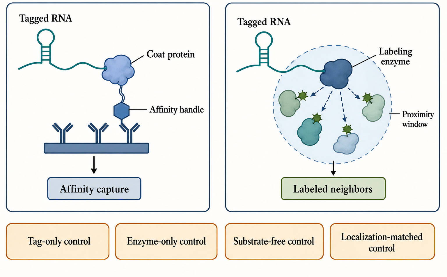 Figure 138.2. Aptamer and proximity-labeling architectures