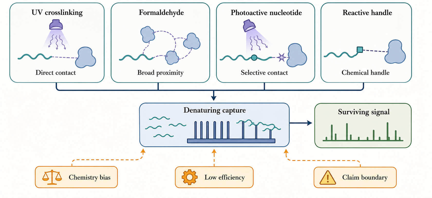Figure 138.3. Crosslinking chemistry defines observable contact classes