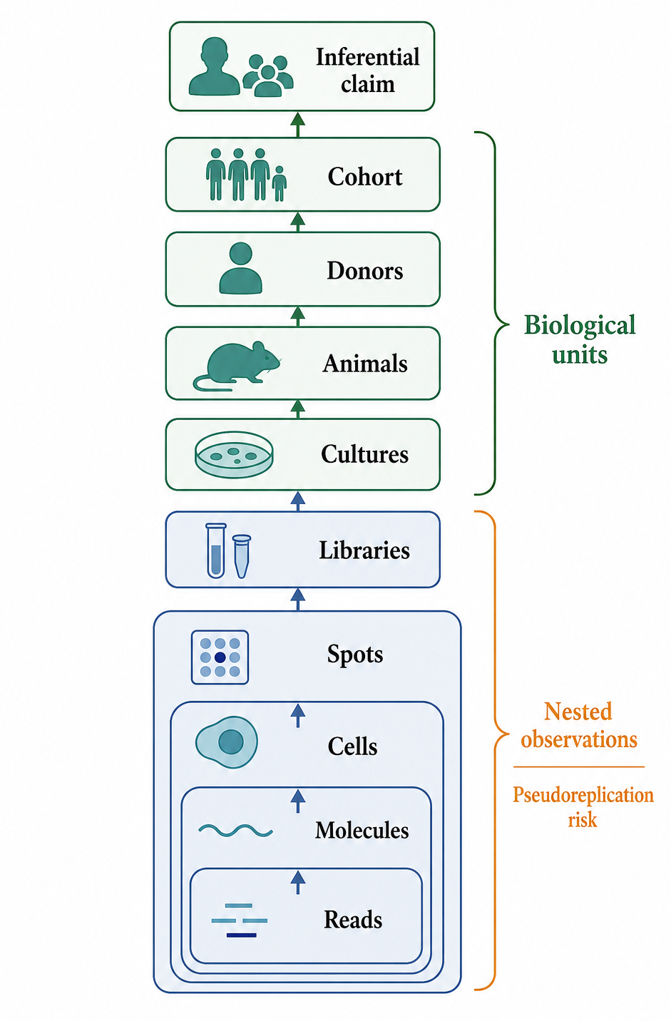 Figure 139.1. Replicate Hierarchy in RNA Experiments