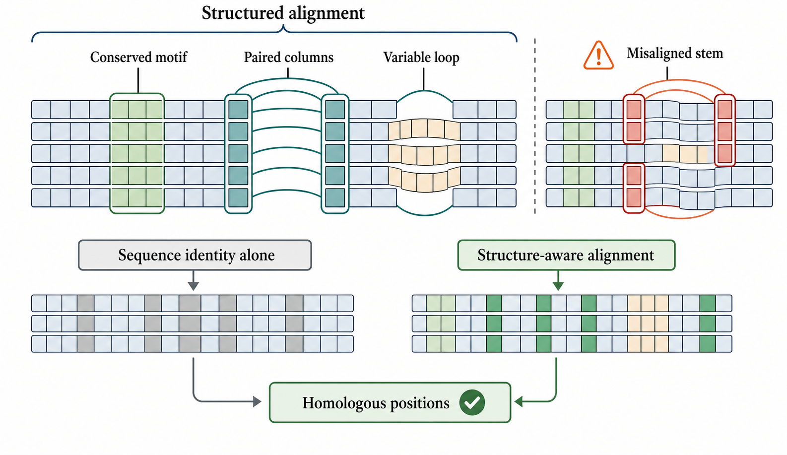 Figure 140.2. Structured RNA Alignment Anatomy