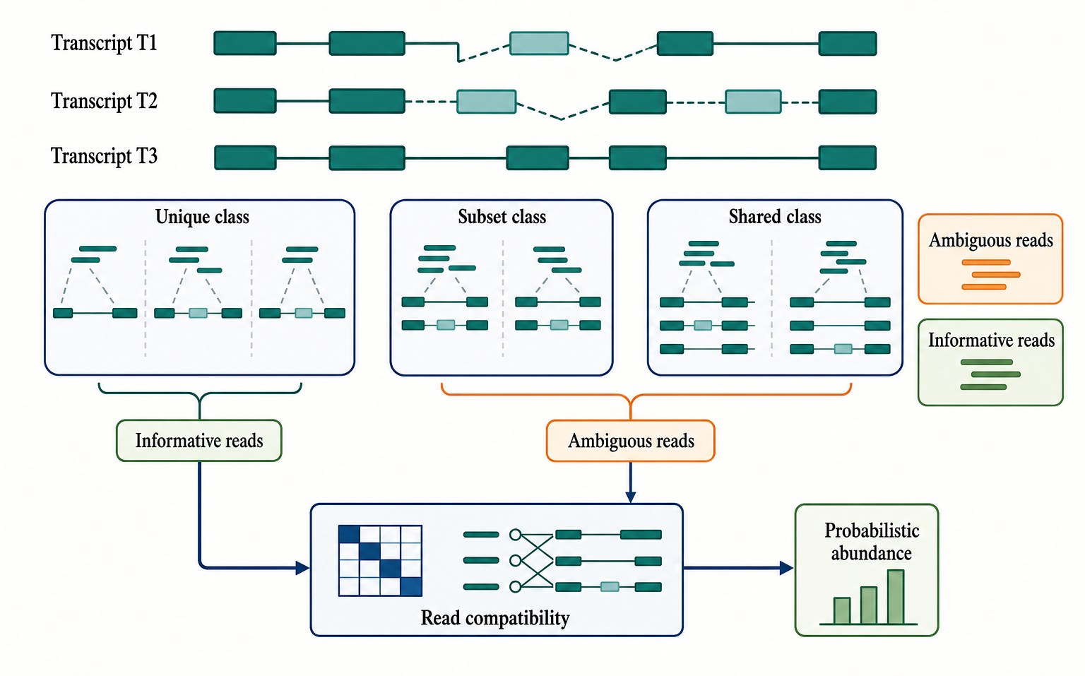 Figure 141.2. Equivalence classes in isoform quantification